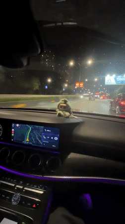 Evening car journey documented through central Tbilisi