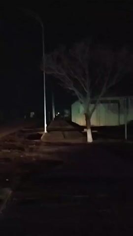 The video shows a dark street scene at night. A sidewalk runs along the side of the road, illuminated by streetlights. A leafless tree stands next to the sidewalk.  A building is visible to the right of the tree. A car with its headlights on approaches from the left in the distance.