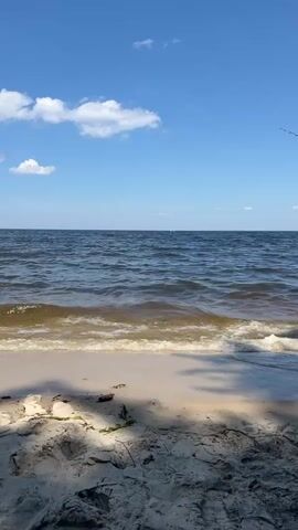 The video shows a tranquil beach scene. The camera is positioned low, capturing the sandy shore in the foreground, with shadows cast by unseen trees. Gentle waves lap the shore, the water appearing a murky brown-green near the beach and darkening to a deep blue further out. The horizon is clearly defined by the meeting of the water and a bright blue sky dotted with fluffy white clouds. A faint fishing rod can be seen extending from the upper right corner of the frame, suggesting someone may be fishing just out of view. The overall impression is one of a calm, sunny day at the water's edge.