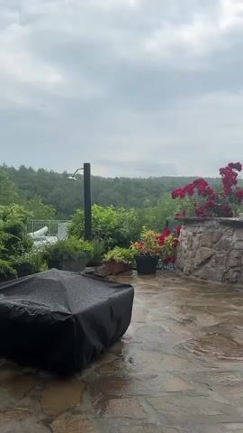 A video of a heavy rain on a stone patio with a stone structure in the background. Red roses bloom behind the structure. A black outdoor furniture cover is visible on the left side of the frame. The video zooms in on the stone structure and roses.