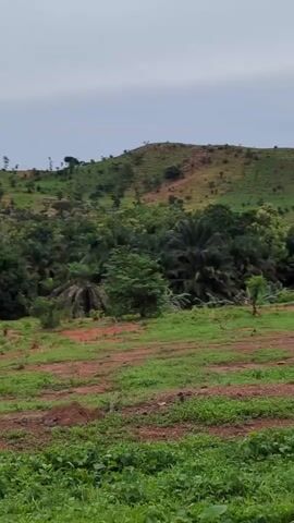 The video shows a landscape with rolling hills in the background. The foreground has a mix of red soil and green grass with scattered trees. The sky is overcast. The camera appears to be moving, possibly from a car. The scene suggests a rural or agricultural area.