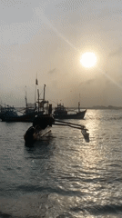 Fishing boats at rest along Sri Lanka's southern coast