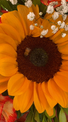 Flower market blooms captured by witnesses in La Paz