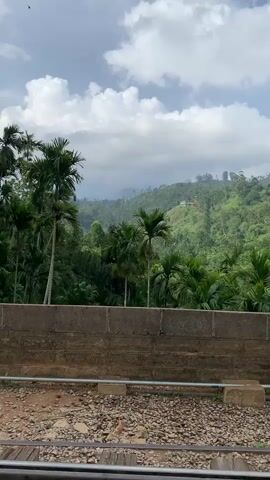 The video displays a scenic view from a moving train. In the foreground, train tracks are visible, laid on a bed of gravel and ballast. A low, weathered brick wall runs horizontally across the frame, separating the tracks from the background. Beyond the wall, lush green vegetation dominates the scene, with numerous palm trees interspersed among dense foliage. In the distance, rolling hills covered in thick, verdant forest rise up, with a few small buildings or structures visible on their slopes. The sky above is partly cloudy, with dramatic white clouds against a pale blue backdrop, and a single bird is seen soaring in the upper right quadrant of the frame. The overall impression is one of natural beauty and a journey through a tropical landscape.
