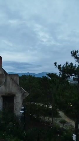 The video shows an outdoor view with a cloudy sky in the background. In the foreground, there are several tall, dark green pine trees. A white building is visible in the middle ground through the trees, partially obscured by fog or mist. To the left, there is a partial view of a weathered building, possibly made of concrete. Some electrical wires and fixtures are also visible near the building. The overall atmosphere appears calm and slightly overcast.