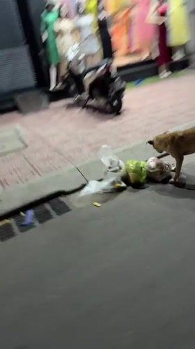 Ordinary street life documented in Bac Nha Trang Ward