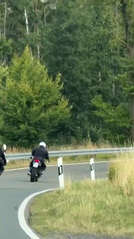 Two motorcyclists wearing helmets and dark clothing ride on a winding asphalt road through a wooded area. The road has white lane markings and metal guardrails. The motorcyclists are leaning into the turns. The surrounding environment consists of tall green trees and dry grass.