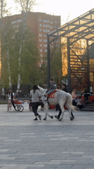 Families gather for recreational activities in Ufa public plaza