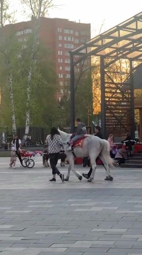 Families gather for recreational activities in Ufa public plaza