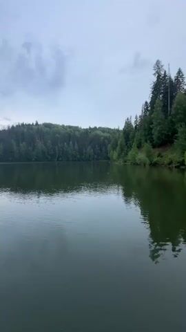 The video shows a calm lake surrounded by a dense forest. The sky is overcast with clouds. The camera pans slowly across the water, capturing the reflections of the trees and the sky on the surface. The overall mood is peaceful and serene.