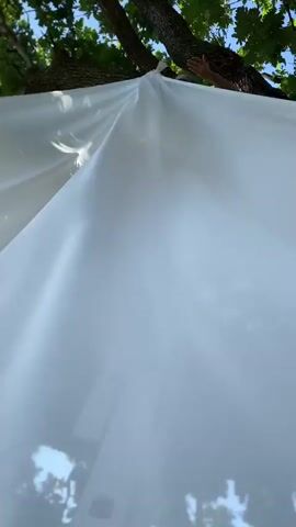 A low-angle shot looking up at a white fabric draped over a tree branch. The fabric is flowing and casting shadows. Sunlight is filtering through the leaves of the tree, creating dappled light on the fabric. A person's arm is visible at the top of the frame, holding the fabric in place. The background is a bright blue sky.
