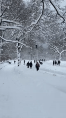 Child plays in 18-inch snowfall at Central Park