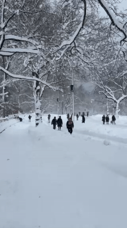 Child plays in 18-inch snowfall at Central Park