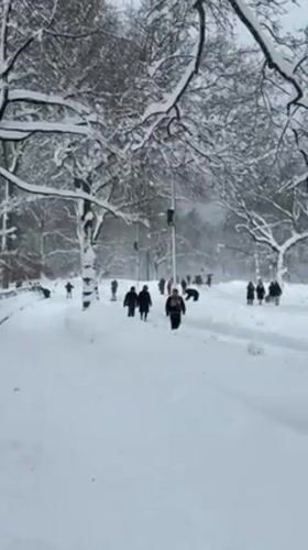 Child plays in 18-inch snowfall at Central Park