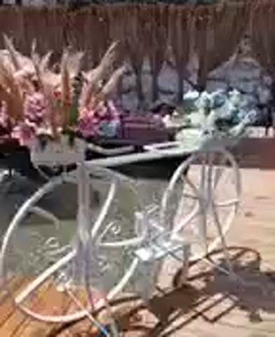 The video shows an outdoor scene with a fountain and several pink flamingo decorations. In the foreground, a white decorative bicycle holds flower arrangements. In the background, there are thatched-roof huts, umbrellas, and people. Some people are in swimsuits, and others are seated at tables. The environment appears to be a resort or water park.