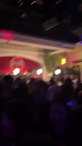 A crowded nightclub or bar is shown, illuminated by flashing red and blue lights. People are dancing and socializing. Palm trees and other foliage are visible, suggesting an exotic or tropical theme. The atmosphere appears lively and energetic.