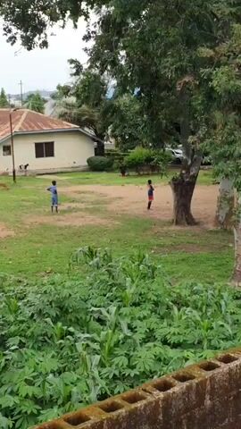 A short video shows a group of children playing soccer in a grassy field with trees. The children are wearing casual clothes. The field is surrounded by trees and some buildings. There is a brick wall in the foreground. The video is shot from a slightly elevated position.