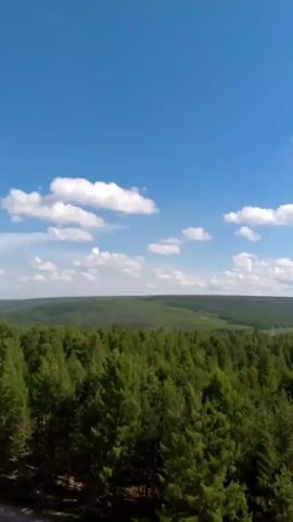 The video shows a drone view of a dense forest. The trees are green and appear to be coniferous. The forest extends to the horizon where it meets a range of rolling hills. The sky is blue with scattered white clouds. The drone is moving forward, providing a panoramic view of the landscape. There are no people or man-made objects visible in the scene. The environment appears to be a natural forest area, possibly a national park or a nature reserve. The weather is clear and sunny, with good visibility.