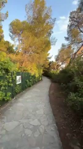 Here is a description of the video:

The video starts with a ground-level view of a winding stone path, bordered on the left by a green fence and lush foliage, and on the right by natural ground cover and trees. The camera moves forward along the path, offering a glimpse of the clear, blue sky. The video then cuts to an overhead shot, revealing a young man and a young woman walking. The man is wearing sunglasses and an open white shirt and holding a drink and phone. The woman is wearing a light blue top. They are seen walking together down the path.