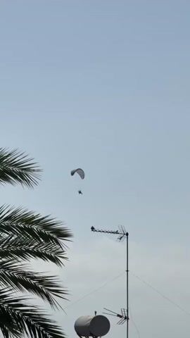 A paraglider flies across a clear sky, with a palm tree branch in the foreground. Below the paraglider, a TV antenna and a satellite dish are visible. The paraglider appears to be moving from left to right.