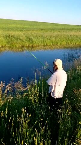 The video shows a person fishing on the bank of a narrow body of water, likely a pond or creek. The person is wearing a light-colored baseball cap and a white shirt, and is holding a green fishing rod. They are standing among tall green grasses and reeds. The water is dark blue and reflects the clear sky. Across the water, a vast green field stretches to the horizon under a bright blue sky. The lighting suggests it is either early morning or late afternoon, with the sun casting a warm glow. The scene is tranquil and depicts a person engaged in outdoor recreation in a natural setting.