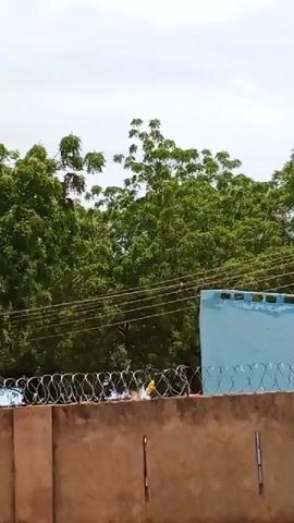 The video shows a wall with barbed wire on top, and trees behind it. The sky is cloudy. A light blue structure is visible to the right of the trees. The wall appears to be made of concrete blocks and is rough in texture. The barbed wire is coiled and sharp, suggesting a security measure. The trees are full of green leaves, indicating a warm climate or season. The light blue structure has a flat roof and a textured surface, possibly a building or part of one. The overall scene is outdoors, under an overcast sky.