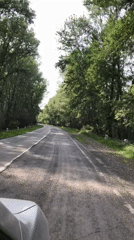Vehicle travels worn forest road near Beltyrskiy, Russia