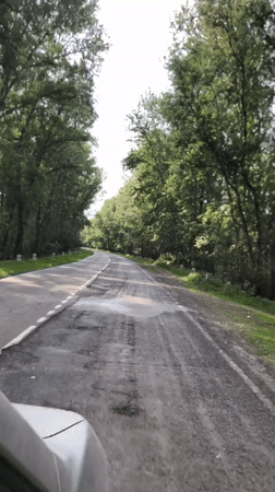 Vehicle travels worn forest road near Beltyrskiy, Russia