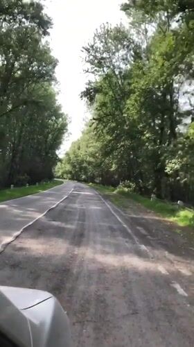 Vehicle travels worn forest road near Beltyrskiy, Russia