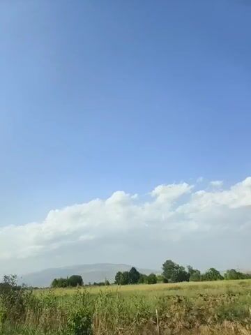 The video shows a landscape from a moving vehicle. The sky is clear and blue with a few white clouds. In the distance, there are mountains. In the foreground, there is a field of yellow and green plants, with trees and bushes on the sides. The camera appears to be handheld and is looking out the side window of the vehicle. The video is of short duration, approximately 5 seconds, and is in a landscape orientation.