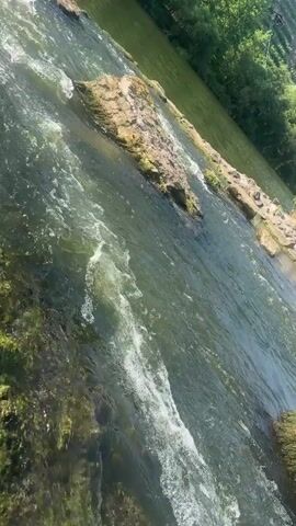 The video shows a close-up view of a river with rocks and vegetation. The water is flowing rapidly, creating white foam and ripples. The rocks are covered in moss and algae, and some are partially submerged in the water. The background shows trees and greenery, suggesting an outdoor, natural environment. The camera appears to be positioned at an angle, looking down at the water.