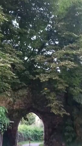 The video shows an arched stone structure overgrown with greenery, possibly an old gateway or ruin. A brick path leads through the archway, and beyond it, dense foliage and trees are visible. The surrounding area appears to be a park or garden.