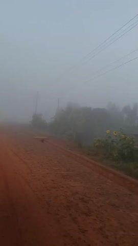 The camera is onboard a bus traveling on a red dirt road through dense fog. Two cyclists, carrying bags, pedal in the same direction as the bus. The cyclists are wearing dark jackets and light-colored pants. The landscape is obscured by the fog, but trees and telephone poles are visible on the right side of the road. The cyclist closer to the bus waves as the bus passes.