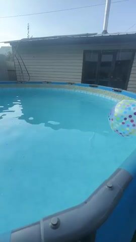 The video shows a close-up view of a clean, blue, above-ground swimming pool. The water is calm with slight ripples reflecting the sky and sunlight. In the background, there is a metal fence, a building with a light-colored exterior and a corrugated roof, and trees. The sky is clear and blue with some clouds. There are no people visible in the video.