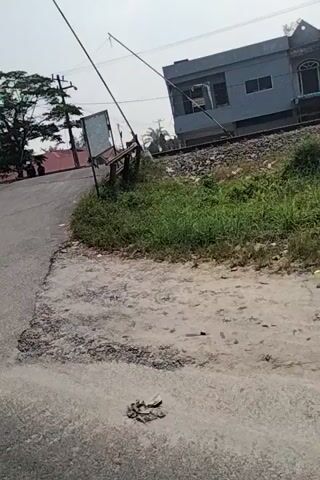 The video pans across a paved road. On the left side of the road, there are buildings and vegetation. A pole with wires runs along the side of the road. The road surface appears cracked and uneven in places. Further down the road, there are more buildings and trees visible. The sky is overcast.