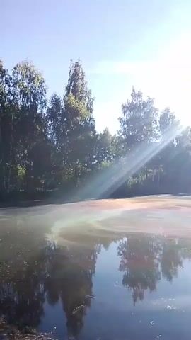 A video shows a body of water with trees in the background under a bright, sunny sky. Sunlight streams through the trees and reflects off the water, creating a rainbow-like sheen on the surface. The water is dark and reflects the trees and the sky.
