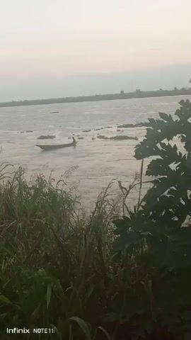 This media file shows a serene river scene at dusk in Atani, Nigeria. The main subjects are a lone individual paddling a small, dark boat across a wide expanse of water. The boat is positioned to the left of the frame, moving from left to right. Scattered aquatic plants dot the surface of the river, adding to the natural landscape.

The setting is a riverbank, with lush, green vegetation in the foreground, including tall grasses and leafy plants. A large, dark green leaf from a tree is prominent on the right side of the frame, partially obscuring the view of the river and boat. In the distance, a faint, hazy horizon line suggests land or more distant features, with a few indistinct structures visible.

The time of day is likely early morning or late evening, suggested by the soft, diffused light and the overcast sky, which appears pale and muted. The overall mood is peaceful and tranquil, emphasizing the solitude of the person in the boat and the quietude of the natural environment. There are no explicit indicators of weather, but the calm water suggests it is not a stormy day.

The visible text at the bottom of the frame reads "Infinix NOTE 11i," which is a model of a smartphone, indicating the device used to capture the image or video. No other text is present in the media.