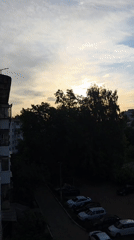 Resident documents cat portraits and family moments in Chaikovsky