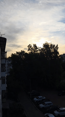 Resident documents cat portraits and family moments in Chaikovsky