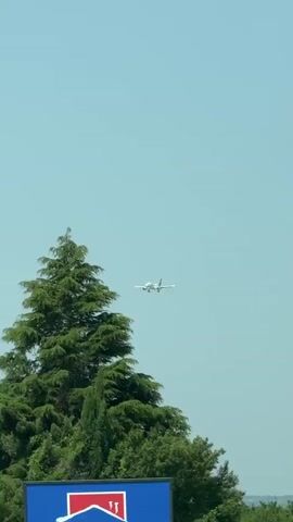 A small, white airplane is visible in a clear blue sky, moving from left to right across the frame. The plane appears to be a passenger jet with a dark tail. Below the plane and to the left, the tops of tall green trees are visible, some of which are coniferous and others deciduous. The trees occupy the lower left and lower right portions of the frame. The lighting suggests it is daytime.