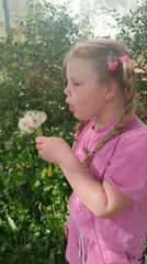 Child plays with dandelions in spring garden setting