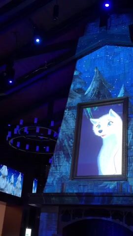 The video shows a projection of animated characters onto a tall, stone-like structure. The projection displays a scene of a white wolf or fox with blue eyes, looking forward with its head tilted. The background of the projection is a dark, starry sky with jagged, snow-covered mountains and dark trees. The wolf appears to be in a framed portrait that is part of the projection. The overall color scheme is blue and dark. In the foreground, the top of a fireplace structure is visible, made of stone. The ceiling above is dark and features blue lights and what appear to be chandeliers with blue lights. The lighting suggests an indoor, dimly lit environment, possibly a themed restaurant or attraction. The projection changes, showing a white fox or dog-like creature sleeping on green grass.