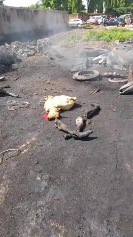 The video shows the aftermath of a fire in an outdoor area. In the foreground, a deceased animal, possibly a goat or sheep, lies on the ground. It appears to have been skinned and is bleeding from the neck. Several animal legs are also visible nearby, some of which appear to be burned. The ground is covered in dark, charred debris, and several tires are scattered around. Smoke rises from the background, suggesting that the fire may have recently occurred or is still smoldering. In the background, there are some buildings and vehicles, indicating that this is likely an urban or semi-urban environment. The overall scene is one of destruction and neglect.