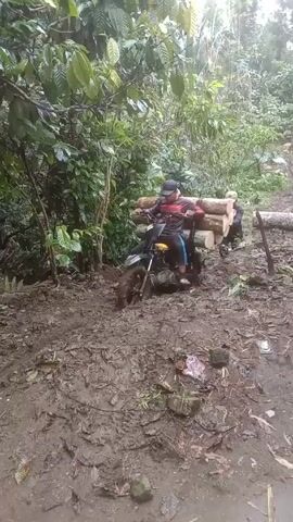 Three men are in a muddy, wooded area. One man is sitting on a motorcycle that is loaded with logs. The bike is stuck in the mud. Two men are pushing the bike from behind to help get it unstuck. The surrounding area is dense with green vegetation.