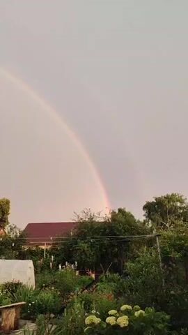The video captures a serene outdoor scene in Dimitrovgrad, Russia, featuring a prominent rainbow arcing across a pale, overcast sky. The rainbow, with its distinct bands of color, appears to be a primary focus of the footage. Below the sky, a garden area is visible, lush with green foliage and various plants, some of which are in bloom with white flowers. A greenhouse covered with white material stands in the garden, suggesting cultivation or protection of plants.

In the background, several houses with dark red roofs are nestled amongst trees. Various structures, possibly sheds or outbuildings constructed from corrugated metal and wood, are also present, indicating a residential or rural setting. The overall ambiance is tranquil and natural, enhanced by the presence of the rainbow and the verdant garden.

The time of day appears to be late afternoon or early evening, given the soft, diffused light and the muted colors of the sky. The weather is likely damp or has recently experienced rain, which is conducive to rainbow formation. There is no visible text in the video. The scene evokes a sense of calm and natural beauty.