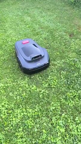 A dark gray robotic lawn mower with a red button on top sits on a patch of green grass interspersed with clover. The mower is stationary and angled slightly towards the right of the frame. The surrounding environment appears to be a lawn with trees or bushes visible in the upper right background. The lighting suggests it is daytime, possibly overcast or early morning/late evening.