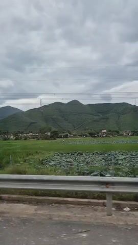 A side-view video shows a person in a vehicle traveling past a landscape. The foreground features a silver guardrail with a yellow post on the left side. Beyond the guardrail, there is a paved road surface and a dirt shoulder. The middle ground reveals lush green fields, with one section appearing to be a rice paddy and another a body of water covered with lily pads. In the distance, rolling green hills rise up, topped with a cloudy sky. Power lines and poles are visible against the sky, and some structures, possibly houses, are scattered across the landscape. The video captures a sense of movement and travel through a rural, natural environment.