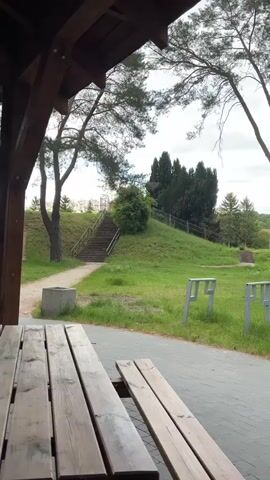 The video shows a park setting from under a wooden shelter, revealing a grassy area dotted with tall, slender trees, some with drooping branches. In the midground, there’s a gentle slope leading up to a set of concrete stairs. Several identical, simple metal structures stand upright in the grass. The ground is a mix of green grass and a gray paved pathway. The sky is overcast. The camera pans slightly to the right, showing more of the park and the trees.