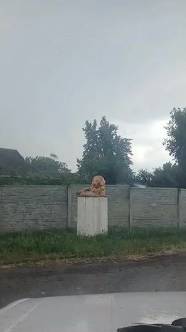 The video shows a statue of a lion on a pedestal in front of a concrete fence. The sky is overcast, and trees are visible behind the fence. The lower part of the frame shows a windshield wiper and part of a vehicle's dashboard.