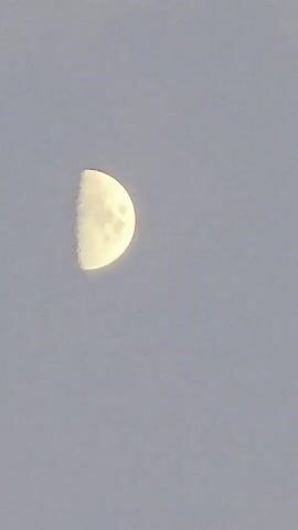 This video captures a still shot of the moon against a pale blue sky. The moon is in its first quarter phase, with approximately half of its surface illuminated. The illuminated portion is a bright yellow-white, and craters are visible on its surface. The sky is a uniform, soft blue, indicating daylight or twilight. There are no other objects or people visible in the frame. The video consists of a single frame held for approximately five seconds, with no apparent movement or changes.